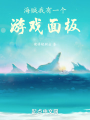 海贼：我有一个游戏面板